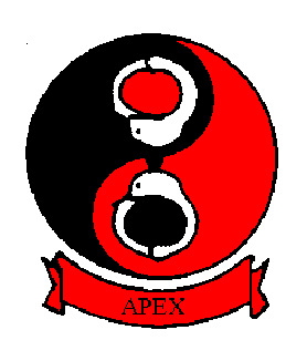 Apex Logo