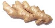 Ginger Root