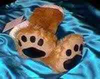 Dog Paws